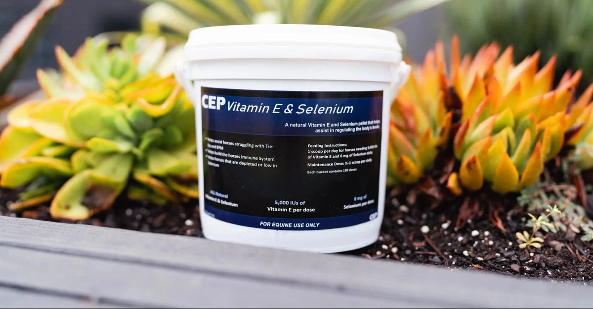 CEP Vitamin E & Selenium