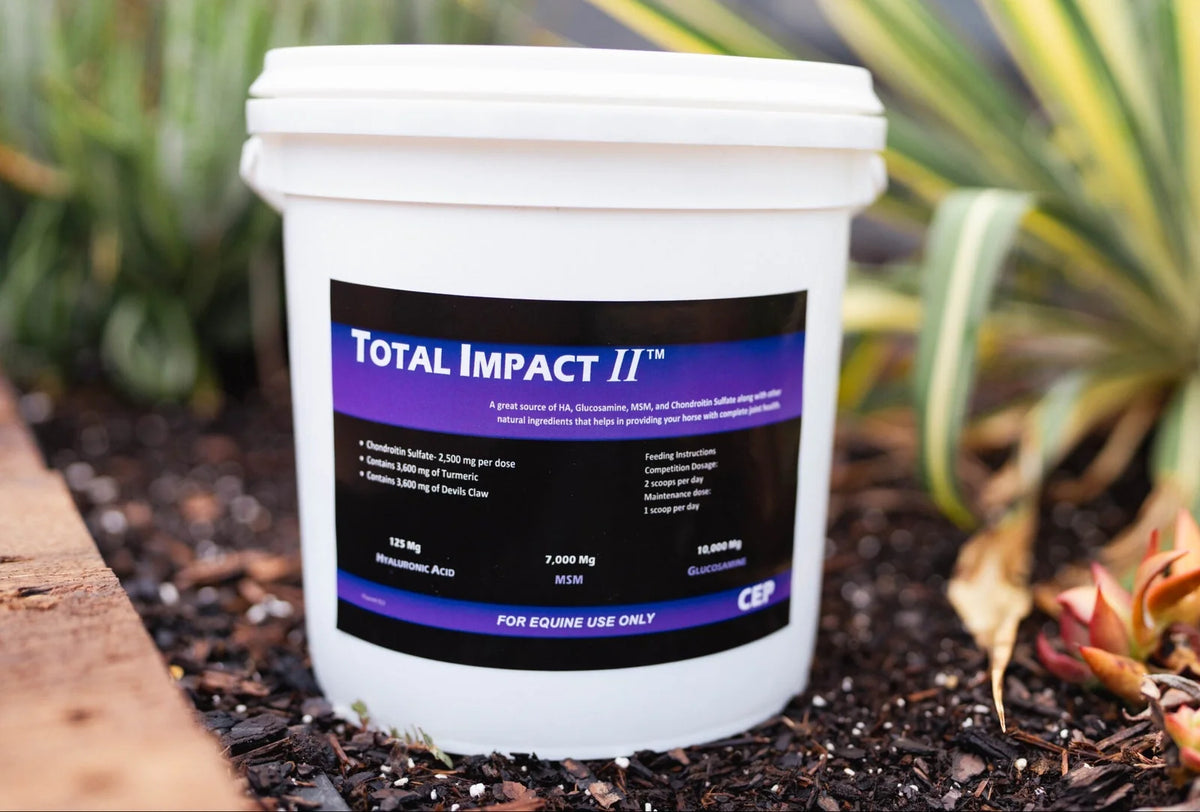 CEP Total Impact II