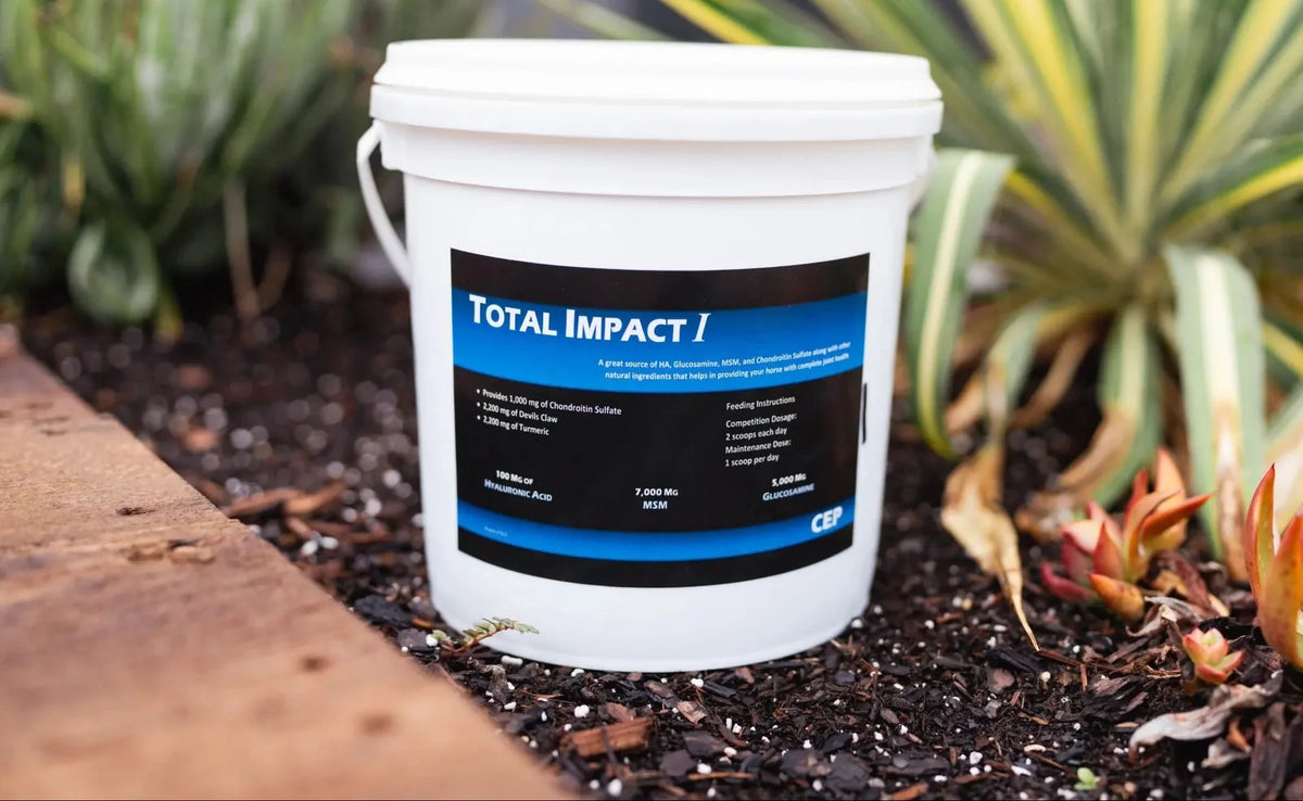 CEP Total Impact I