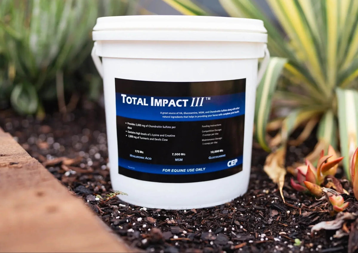 CEP Total Impact III