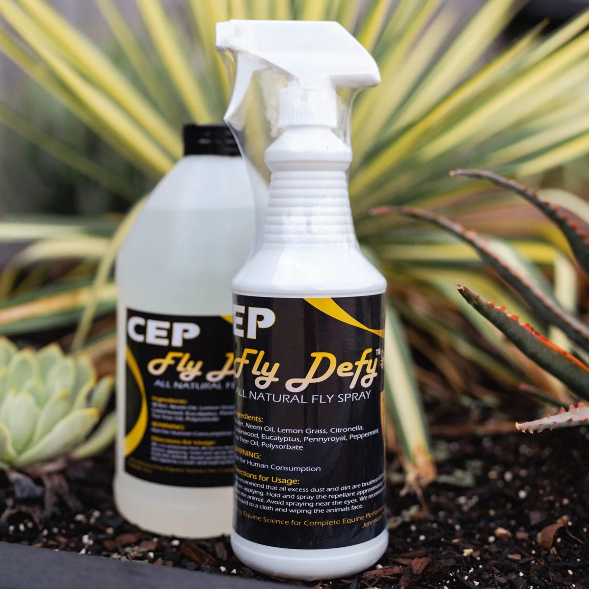 CEP Fly Defy