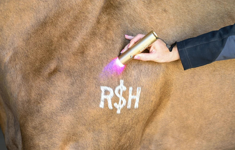 XLR8 Ignite Handheld Therapy Light