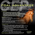 CEP Foal Advantage