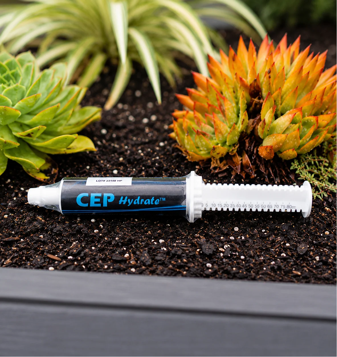 CEP Hydrate Paste
