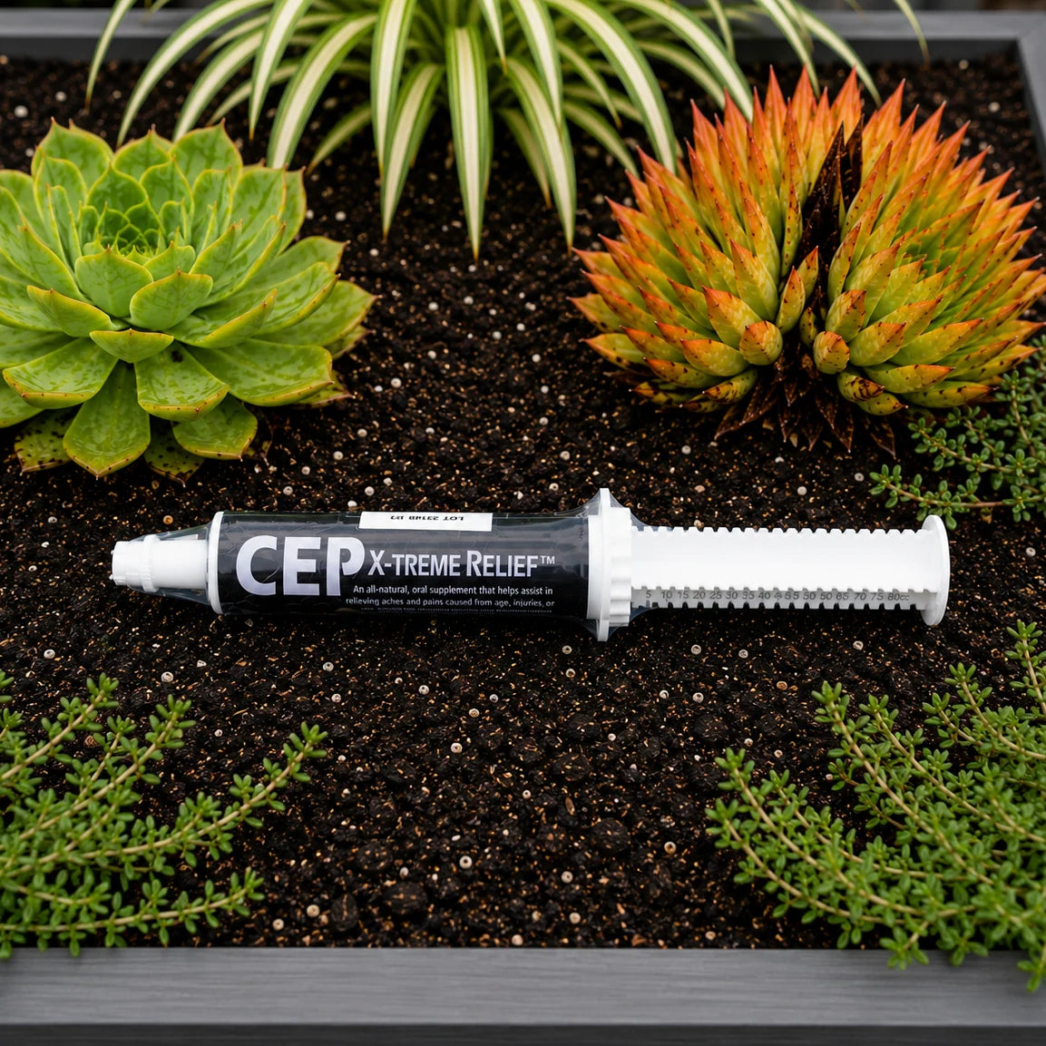 CEP X-treme Relief