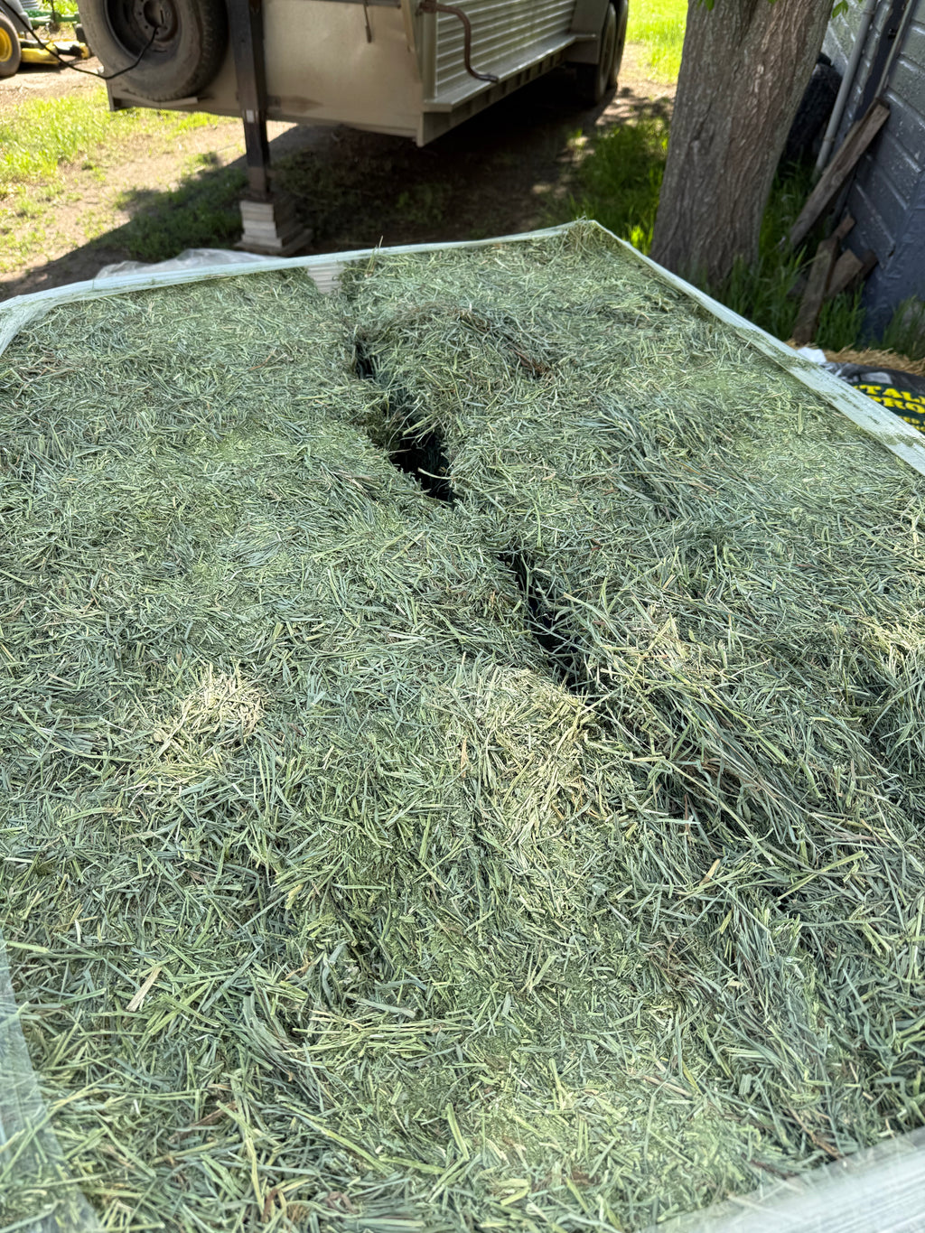 Montana Premium Forage Alfalfa Orchard Grass Compressed Bales