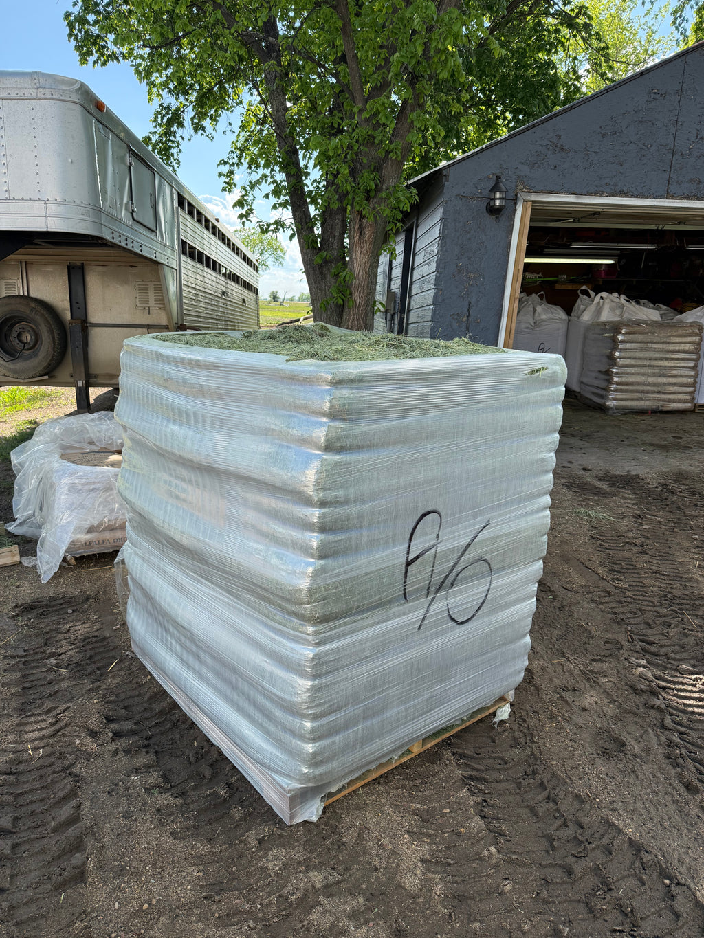 Montana Premium Forage Alfalfa Orchard Grass Compressed Bales