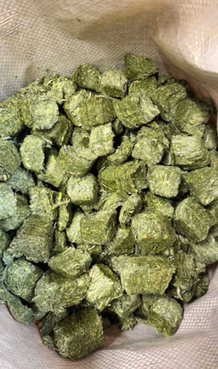 Montana Premium Forage Alfalfa Cubes